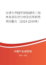 全球與中國三磷酸腺苷二鈉片發(fā)展現(xiàn)狀分析及前景趨勢(shì)預(yù)測(cè)報(bào)告（2024-2030年）