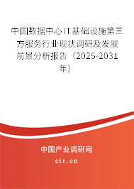 中國(guó)數(shù)據(jù)中心IT基礎(chǔ)設(shè)施第三方服務(wù)行業(yè)現(xiàn)狀調(diào)研及發(fā)展前景分析報(bào)告（2025-2031年）