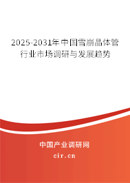 2025-2031年中國(guó)雪崩晶體管行業(yè)市場(chǎng)調(diào)研與發(fā)展趨勢(shì)