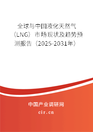 全球與中國液化天然氣（LNG）市場現(xiàn)狀及趨勢預測報告（2025-2031年）