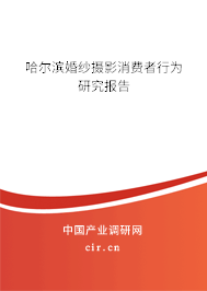 哈爾濱婚紗攝影消費(fèi)者行為研究報告