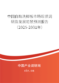 中國自助洗腳板市場現(xiàn)狀調(diào)研及發(fā)展前景預(yù)測報(bào)告（2025-2031年）