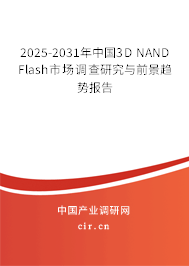 2025-2031年中國(guó)3D NAND Flash市場(chǎng)調(diào)查研究與前景趨勢(shì)報(bào)告