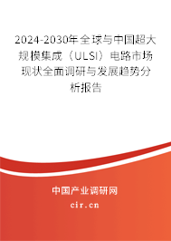 2024-2030年全球與中國(guó)超大規(guī)模集成（ULSI）電路市場(chǎng)現(xiàn)狀全面調(diào)研與發(fā)展趨勢(shì)分析報(bào)告