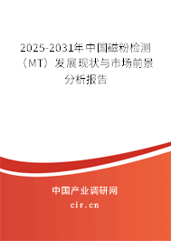 2025-2031年中國磁粉檢測（MT）發(fā)展現(xiàn)狀與市場前景分析報告