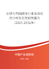 全球與中國磁體行業(yè)發(fā)展現(xiàn)狀分析及前景趨勢報(bào)告（2025-2031年）