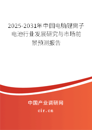 2025-2031年中國電腦鋰離子電池行業(yè)發(fā)展研究與市場前景預(yù)測報(bào)告