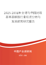 2025-2031年全球與中國(guó)對(duì)羧基苯基膦酸行業(yè)現(xiàn)狀分析與發(fā)展趨勢(shì)研究報(bào)告