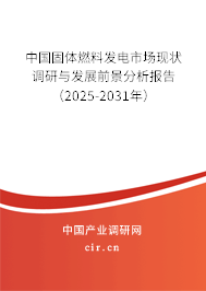 中國固體燃料發(fā)電市場現(xiàn)狀調(diào)研與發(fā)展前景分析報告（2025-2031年）