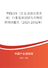 中國IVR（交互語音應(yīng)答系統(tǒng)）行業(yè)發(fā)展調(diào)研與市場前景預(yù)測報告（2025-2031年）