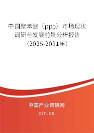 中國聚苯醚（ppo）市場現(xiàn)狀調(diào)研與發(fā)展前景分析報告（2025-2031年）