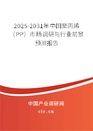 2025-2031年中國(guó)聚丙烯（PP）市場(chǎng)調(diào)研與行業(yè)前景預(yù)測(cè)報(bào)告
