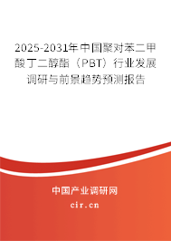 2025-2031年中國聚對苯二甲酸丁二醇酯（PBT）行業(yè)發(fā)展調(diào)研與前景趨勢預(yù)測報告