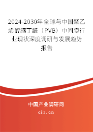 2024-2030年全球與中國聚乙烯醇縮丁醛（PVB）中間膜行業(yè)現(xiàn)狀深度調(diào)研與發(fā)展趨勢報告