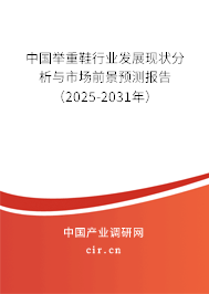 中國舉重鞋行業(yè)發(fā)展現(xiàn)狀分析與市場前景預(yù)測報告（2025-2031年）
