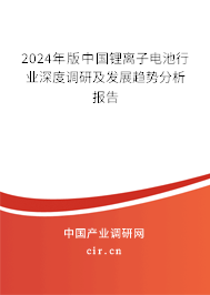 2024年版中國鋰離子電池行業(yè)深度調(diào)研及發(fā)展趨勢分析報(bào)告