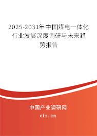 2025-2031年中國煤電一體化行業(yè)發(fā)展深度調(diào)研與未來趨勢報告