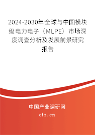 2024-2030年全球與中國(guó)模塊級(jí)電力電子（MLPE）市場(chǎng)深度調(diào)查分析及發(fā)展前景研究報(bào)告