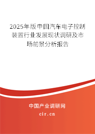 2025年版中國汽車電子控制裝置行業(yè)發(fā)展現(xiàn)狀調(diào)研及市場前景分析報告