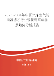 2025-2031年中國(guó)汽車空氣濾清器濾芯行業(yè)現(xiàn)狀調(diào)研與前景趨勢(shì)分析報(bào)告