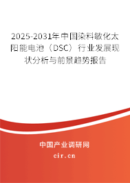 2025-2031年中國染料敏化太陽能電池（DSC）行業(yè)發(fā)展現(xiàn)狀分析與前景趨勢報告