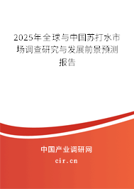 2025年全球與中國(guó)蘇打水市場(chǎng)調(diào)查研究與發(fā)展前景預(yù)測(cè)報(bào)告