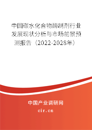 中國碳水化合物酶制劑行業(yè)發(fā)展現(xiàn)狀分析與市場前景預(yù)測報告（2022-2028年）