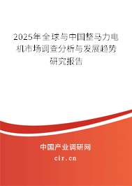 2024年全球與中國整馬力電機市場調(diào)查分析與發(fā)展趨勢研究報告