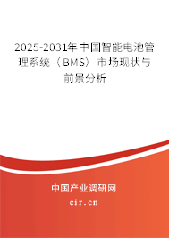 2025-2031年中國(guó)智能電池管理系統(tǒng)（BMS）市場(chǎng)現(xiàn)狀與前景分析