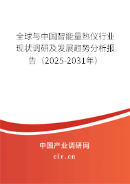 全球與中國智能量熱儀行業(yè)現(xiàn)狀調(diào)研及發(fā)展趨勢分析報(bào)告（2025-2031年）