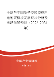 全球與中國質(zhì)子交換膜燃料電池雙極板發(fā)展現(xiàn)狀分析及市場前景預(yù)測（2025-2031年）
