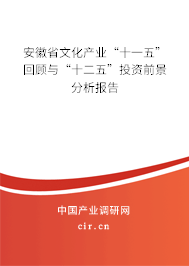 安徽省文化產(chǎn)業(yè)“十一五”回顧與“十二五”投資前景分析報(bào)告