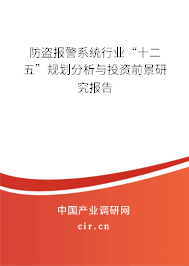 防盜報警系統(tǒng)行業(yè)“十二五”規(guī)劃分析與投資前景研究報告