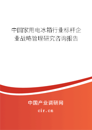 中國(guó)家用電冰箱行業(yè)標(biāo)桿企業(yè)戰(zhàn)略管理研究咨詢報(bào)告