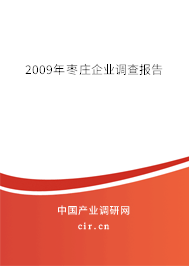 2009年棗莊企業(yè)調查報告