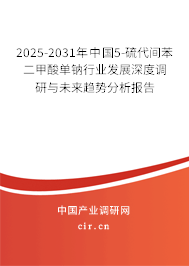2025-2031年中國5-硫代間苯二甲酸單鈉行業(yè)發(fā)展深度調研與未來趨勢分析報告