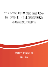 2025-2031年中國倉儲管理系統(tǒng)（WMS）行業(yè)發(fā)展調研及市場前景預測報告