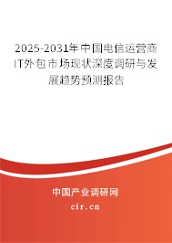 2025-2031年中國(guó)電信運(yùn)營(yíng)商IT外包市場(chǎng)現(xiàn)狀深度調(diào)研與發(fā)展趨勢(shì)預(yù)測(cè)報(bào)告