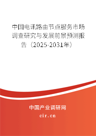 中國電訊路由節(jié)點(diǎn)服務(wù)市場調(diào)查研究與發(fā)展前景預(yù)測報(bào)告（2025-2031年）