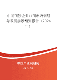 中國(guó)鋼鐵企業(yè)非鋼市場(chǎng)調(diào)研與發(fā)展前景預(yù)測(cè)報(bào)告（2023年）