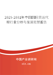 2025-2031年中國國際貨運代理行業(yè)分析與發(fā)展前景報告
