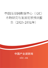 中國互聯(lián)網(wǎng)數(shù)據(jù)中心（IDC）市場研究與發(fā)展前景預(yù)測報告（2025-2031年）