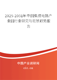 2025-2031年中國集成電路產業(yè)園行業(yè)研究與前景趨勢報告