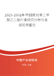 2025-2031年中國(guó)聚對(duì)苯二甲酸乙二酯行業(yè)研究分析與發(fā)展前景報(bào)告