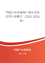 中國(guó)立體停車場(chǎng)行業(yè)現(xiàn)狀及前景分析報(bào)告（2025-2031年）