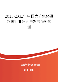 2025-2031年中國(guó)六方氮化硼粉末行業(yè)研究與發(fā)展趨勢(shì)預(yù)測(cè)