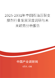 2025-2031年中國石油壓裂支撐劑行業(yè)發(fā)展深度調(diào)研與未來趨勢(shì)分析報(bào)告