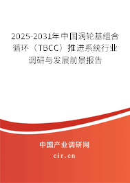 2025-2031年中國渦輪基組合循環(huán)（TBCC）推進系統(tǒng)行業(yè)調(diào)研與發(fā)展前景報告