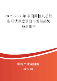 2025-2031年中國蔗糖丸芯行業(yè)現(xiàn)狀深度調(diào)研與發(fā)展趨勢預測報告