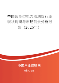 中國智能型電力監(jiān)測儀行業(yè)現(xiàn)狀調(diào)研與市場前景分析報告（2025年）